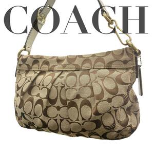 COACH コーチ シグネチャー ハンプトンズ キャンバス ブラウン系　レザー