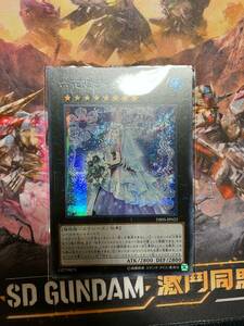 遊戯王 六花聖ティアドロップ DBSS シークレット アジア 亜 中古良品