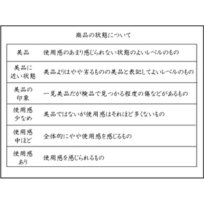 ◆DAISY LIN◆【使用感少】スニーカー(35.5)白/エナメル/靴//デイジーリン/フォクシー/の画像8