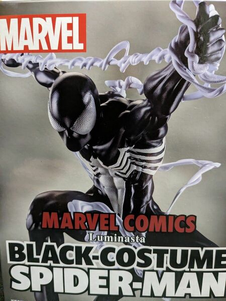 SPIDER-MAN MARVEL COMICS BLACK-COSTUME