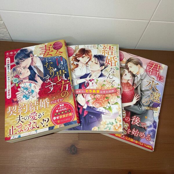 今日から貴方の妻になります　俺様御曹司と契約からはじめる　　結婚なんてお断りです！　君に永遠の愛を　☆エタニティブックス　3冊