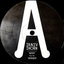 【UK盤/12EP】Tracey Thorn トレイシー・ソーン / Why Does The Wind? ■ Buzzin' Fly Records / 053BUZZ / Michel Cleis / ハウス_画像3