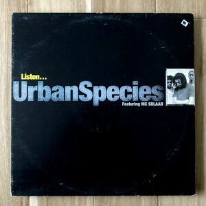 【UK盤/12EP】Urban Species featuring MC Solaar / Listen ■ Talkin' Loud / TLKX 43 / アシッドジャズ / ヒップホップ