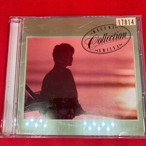 【2CD】椎名恵 しいな恵 / COLLECTION コレクション / CD ケース交換済