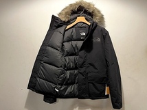 新品正規品 USA限定 日本未発売 The North Face ノースフェイス ビックシャドーロゴ アークティック ダウンパーカー ダウンジャケット US-L_画像2