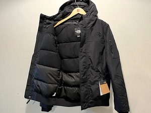 新品正規品 USA限定 The North Face 大人気希少カラー ノースフェイス ビックシャドーロゴ ダウンパーカー ダウンジャケット US-L