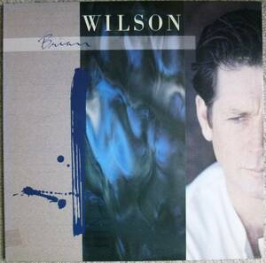 Brian Wilson (The Beach Boys)『S.T.』LP Soft Rock ソフトロック