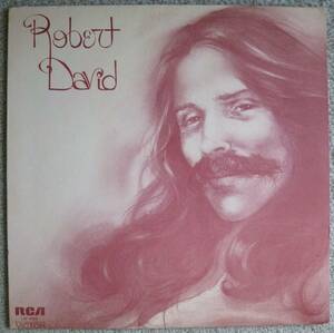 繊細系ジェントル・ヴォイスSSW傑作盤!!!【試聴!!!】Robert David『S.T.』LP SSW Folk オルガンバー サバービア