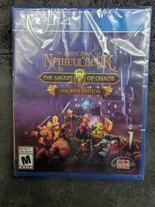 The Dungeon Of Naheulbeuk: The Amulet Of Chaos ダンジョン・オブ・ナヘルブク アクション PS4　輸入版