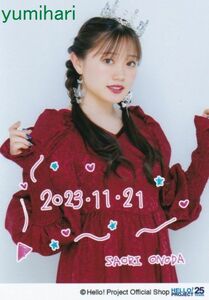 小野田紗栞 11/21発売生写真“ハロー！ショップ 23rd Anniversary”パート2