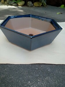植木鉢　盆栽鉢　ナマコ　六角形　1個