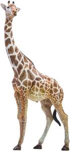 PNSO 動物園 成長シリーズ キリン 野生動物 リアル フィギュア PVC プラモデル おもちゃ 模型 動物好き 誕生日 プレゼント