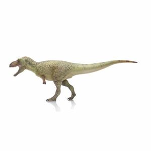 HAOLONGGOOD 1/35 サイズ ダスプレトサウルス 29.5cm級 ティラノサウルス科 恐竜 フィギュア リアル 模型 プラモデル おもちゃ グリーン