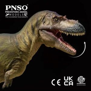 PNSO 72 アルバートサウルス フィギュア ティラノサウルス科 白亜紀 28cm級 口開閉可能 肉食 恐竜 おもちゃ 模型 恐竜好き プレゼント