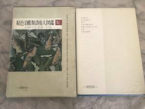 H　即決　原色日本蝶類幼虫大図鑑　1巻のみ　白水隆　原章　保育社