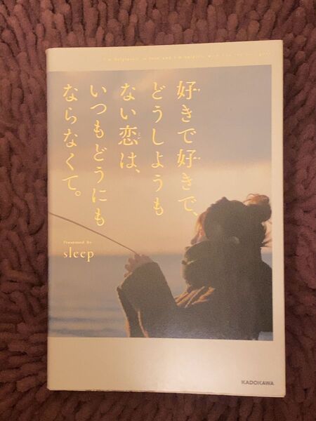 好きで好きで、どうしようもない恋は、いつもどうにもならなくて。 sleep/著