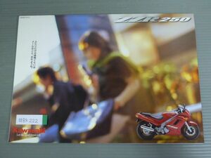 KAWASAKI カワサキ ZZR250 BA-EX250H カタログ パンフレット チラシ 送料無料