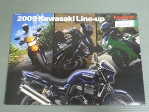 KAWASAKI カワサキ 2009 Line-up ラインナップ カタログ パンフレット チラシ 送料無料