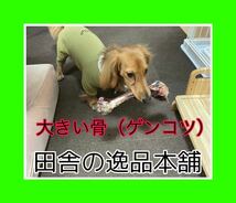 ★中型犬～大型犬用★鹿の骨・猪の骨詰め合わせ 7480円セット 1400g以上_画像4