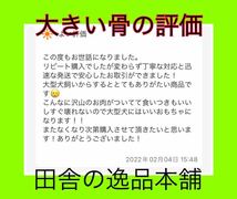 ★中型犬～大型犬用★鹿の骨・猪の骨詰め合わせ 7480円セット 1400g以上_画像6