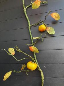 SALE* fake persimmon. tree * persimmon * artificial flower * display *...* lease * real *.. not * approximately 120.*1 pcs impact atmosphere equipped * secondhand goods 