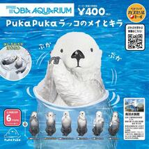 【A-24】ガチャガチャ　PukaPukaラッコのメイとキラ　全6種セット　鳥羽水族館_画像2