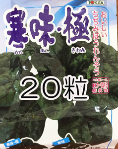 ほうれん草　寒味極　縮み　肉厚　　20粒　種　種子　　野菜　　家庭菜園