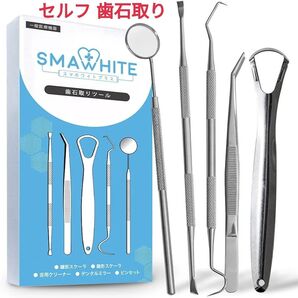 歯石とり セルフ スケーラー 歯石 器具 デンタルケア 歯垢