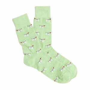 ジェイクルー J.Crew メンズ Men's ソックス 靴下 Socks ワンサイズ グリーン ドッグ