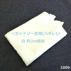 1009＜カットソー生地(ハギレ)＞白【34】約2ｍ相当(92cm巾換算)◆綿100%◆SDGｓ◇ハンドメイドに♪