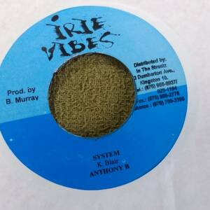 Coming From The Country(Let Them Try) Riddim Single 2枚Set from Irie Vibes Anthony B Determine