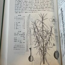 【原色日本帰化植物図鑑】函付 昭和58年 保育社 長田武正_画像7