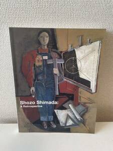 【島田章三展】図録 2011年 愛知県美術館 中日新聞社