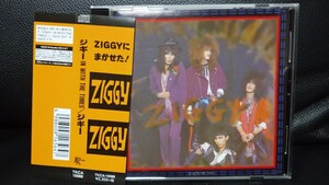 ZIGGY IN WITH THE TIMES リマスター盤 美品