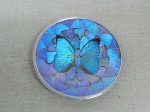 モルファ蝶　飾り皿　18.5㎝くらい　きれいな青　お土産　ちょう　蝶々　ちょうちょ　羽