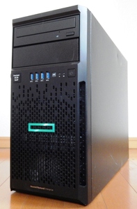 HPE ProLiant ML30 Gen9 Xeon E3-1270v5/8GB/4.8TB/DVDRAM/Win Server&Win11