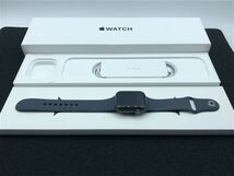 SE 第1世代[40mm GPS]アルミニウム スペースグレイ Apple Watc…_画像3