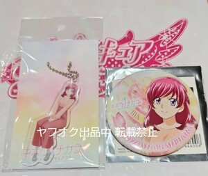 即決有 プリティストア 夢原のぞみ キボウノチカラ オトナプリキュア'23 ランダム缶バッジ アクリルキーホルダー Yes!プリキュア5 GOGO!