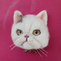 もたこ 羊毛フェルト猫 ハンドメイド　羊毛フェルトエキゾチックショートヘア　エキゾチックショートヘア　羊毛フェルトリアル猫　猫さん _画像8