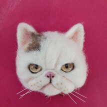 もたこ 羊毛フェルト猫 ハンドメイド　羊毛フェルトエキゾチックショートヘア　エキゾチックショートヘア　羊毛フェルトリアル猫　猫さん _画像6