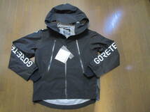 ☆＋phenix/プラス フェニックス☆未使用 GORE-TEX Logo-Type-A Jacket GTX マウンテンパーカーサイズ：L アウトドア キャンプ おしゃれ_画像4