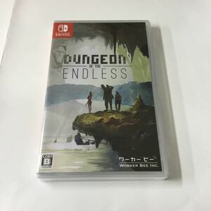 任天堂　スイッチ　ソフト★新品未開封★シュリンク付★ダンジョン オブ ジ エンドレス(Dungeon of the ENDLESS) - Switch