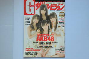 G（グラビア）ザテレビジョン（GRAVURE　THE　TELEVISION）月刊ザテレビジョン別冊　2010年5月　vol.16　表紙『AKB48』中古　雑誌のみ