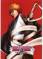 【中古】《バーゲン30》■BLEACH 尸魂界・潜入篇 全5巻セット s19466 j48【レンタル専用DVD】