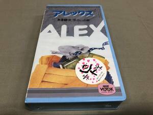 NHK アレックス　why? 第10集　恋占いの巻