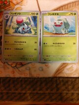 ポケモンカード　フシギバナEX　フシギソウ　フシギダネ　３枚セット　スペシャルセット_画像2