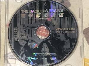 ★非売品CD THE BACILLUS BRAINS/バチラスブレインズ 日本脳炎「電撃都市通信」 見本盤 　promo only レア盤　japan mint sampler 横山剣