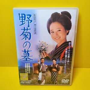 ※新品ケース交換済み　「野菊の墓('81東映/サンミュージック)」DVD