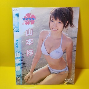 山本梓 アズベリー 　DVD