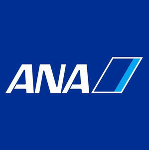 【マイル数指定可】ANA 600マイル 最短翌日加算